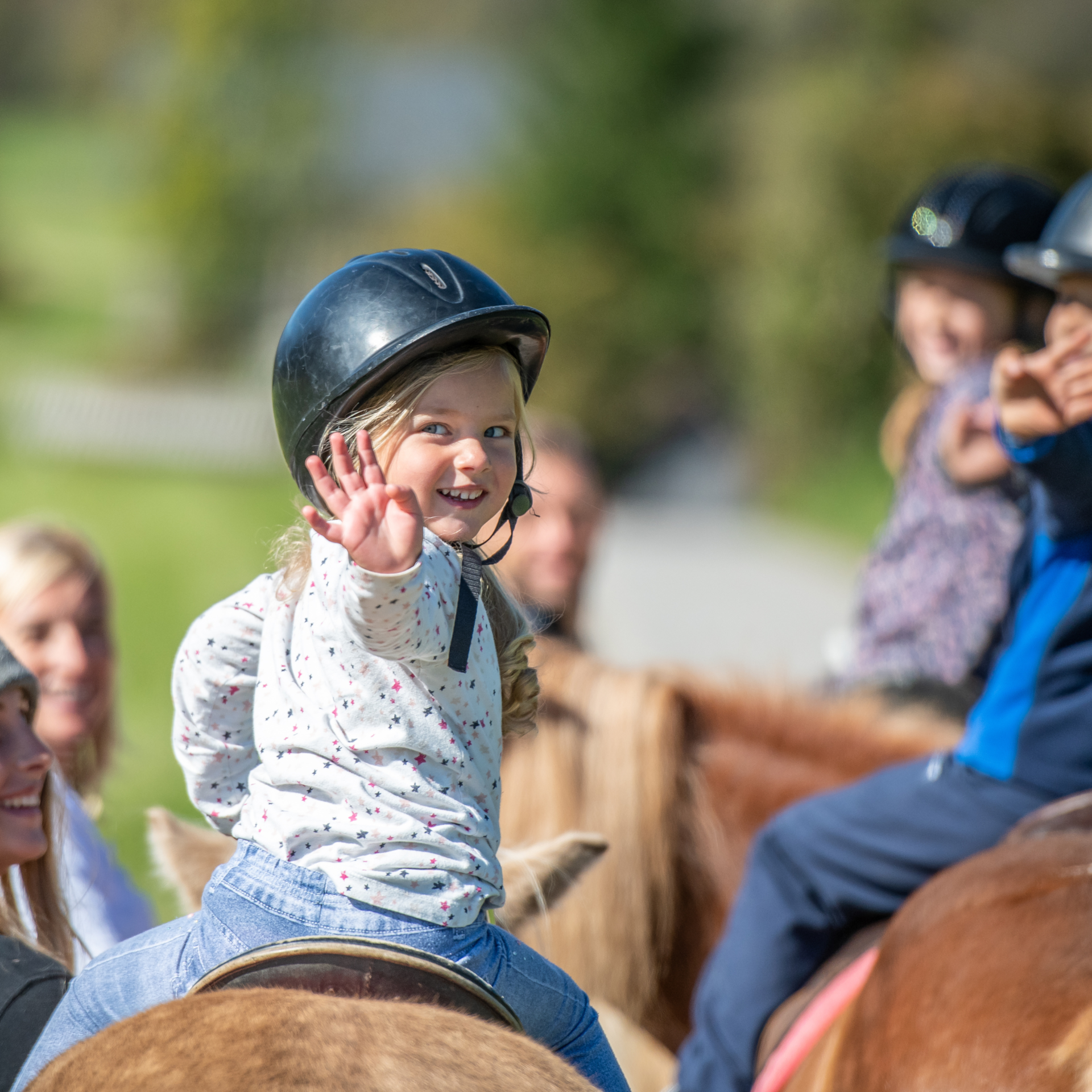 Reiten und Reitsport rund um Erlen im Thurgau
