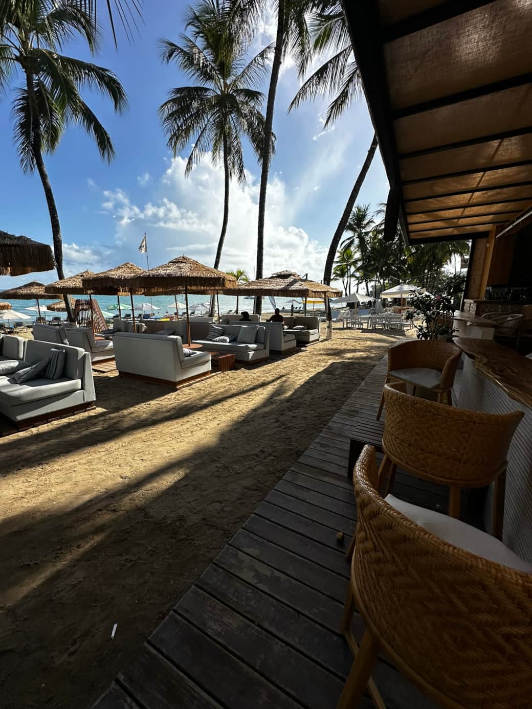 Cabarete beach restaurant bar aura