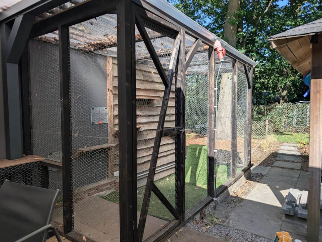 PXL 20250825 133756594