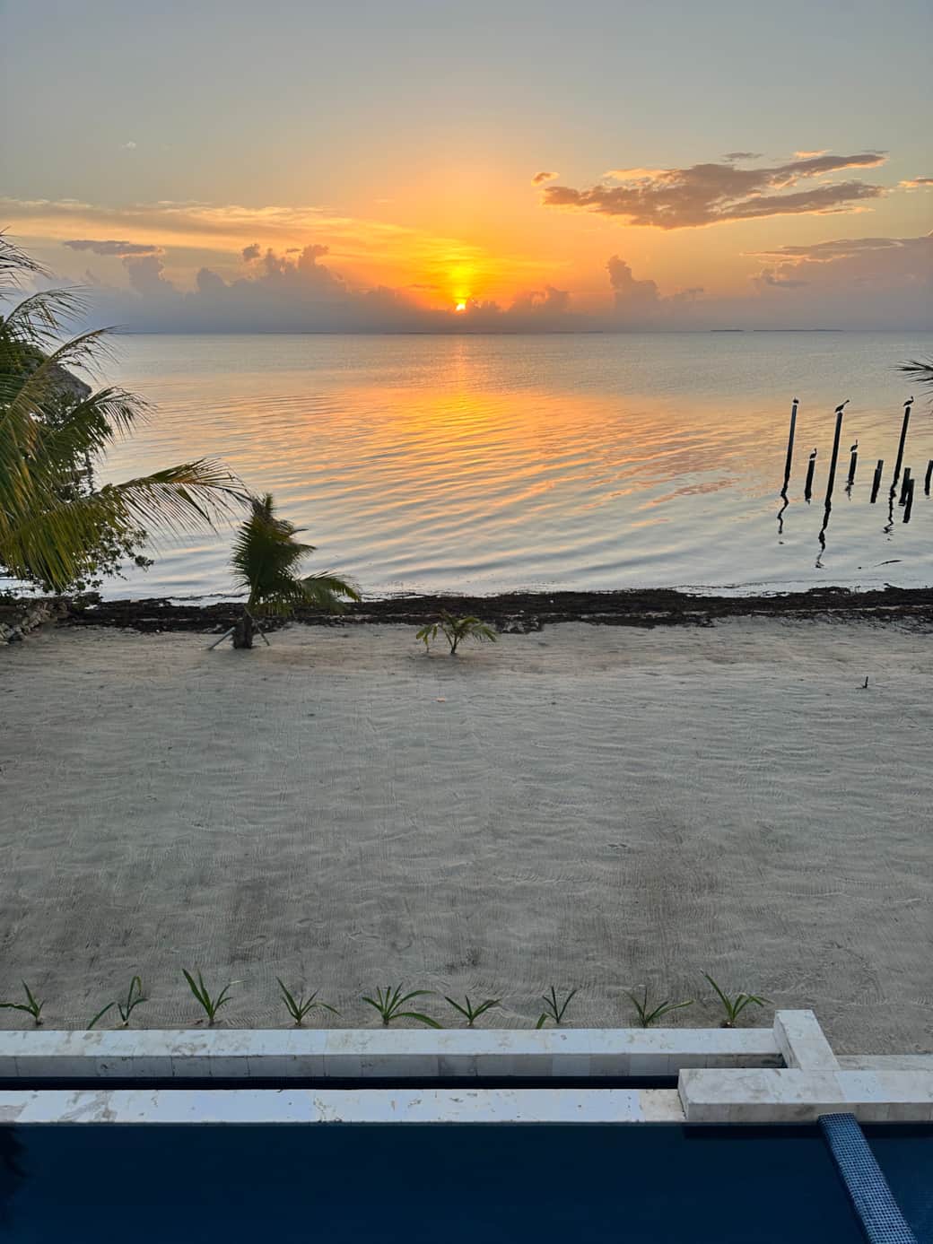 Sunrise - Copy Sunrise - Copy