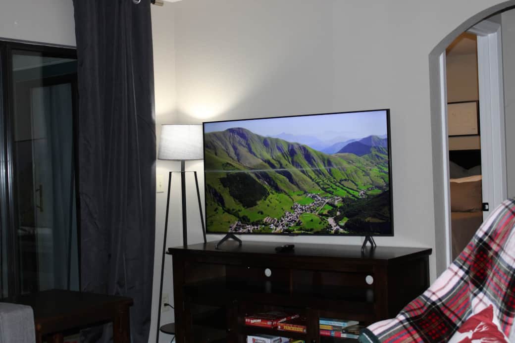 Living Room with 55" Samsung TV