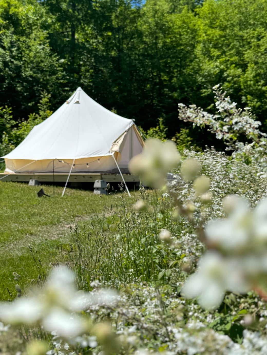View 3