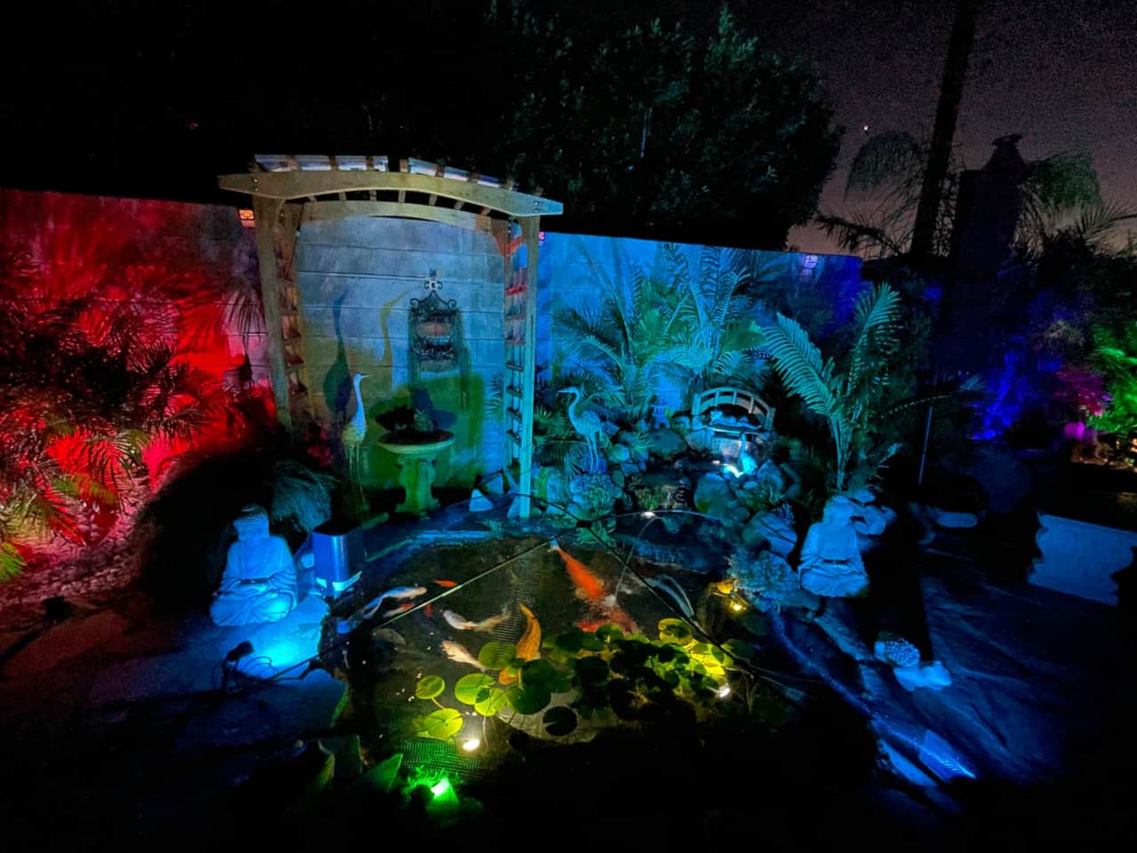 Koi pond at night 