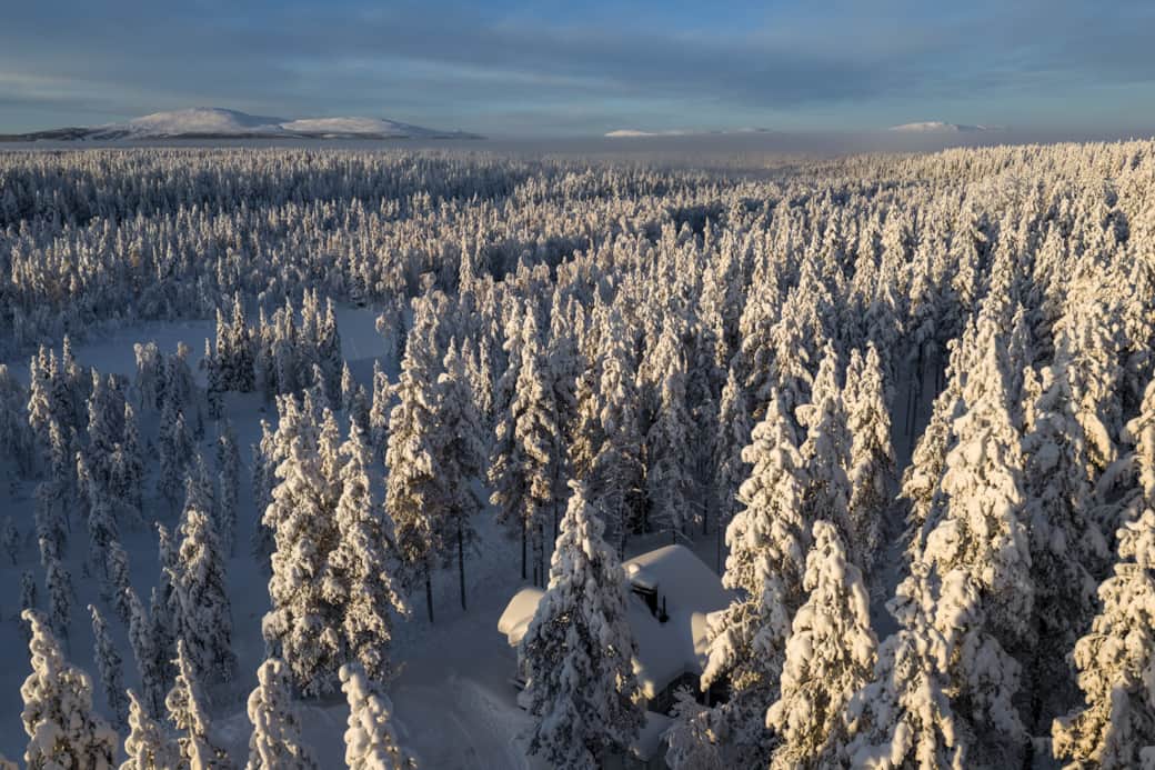 Kärpänkätkye1A1 3