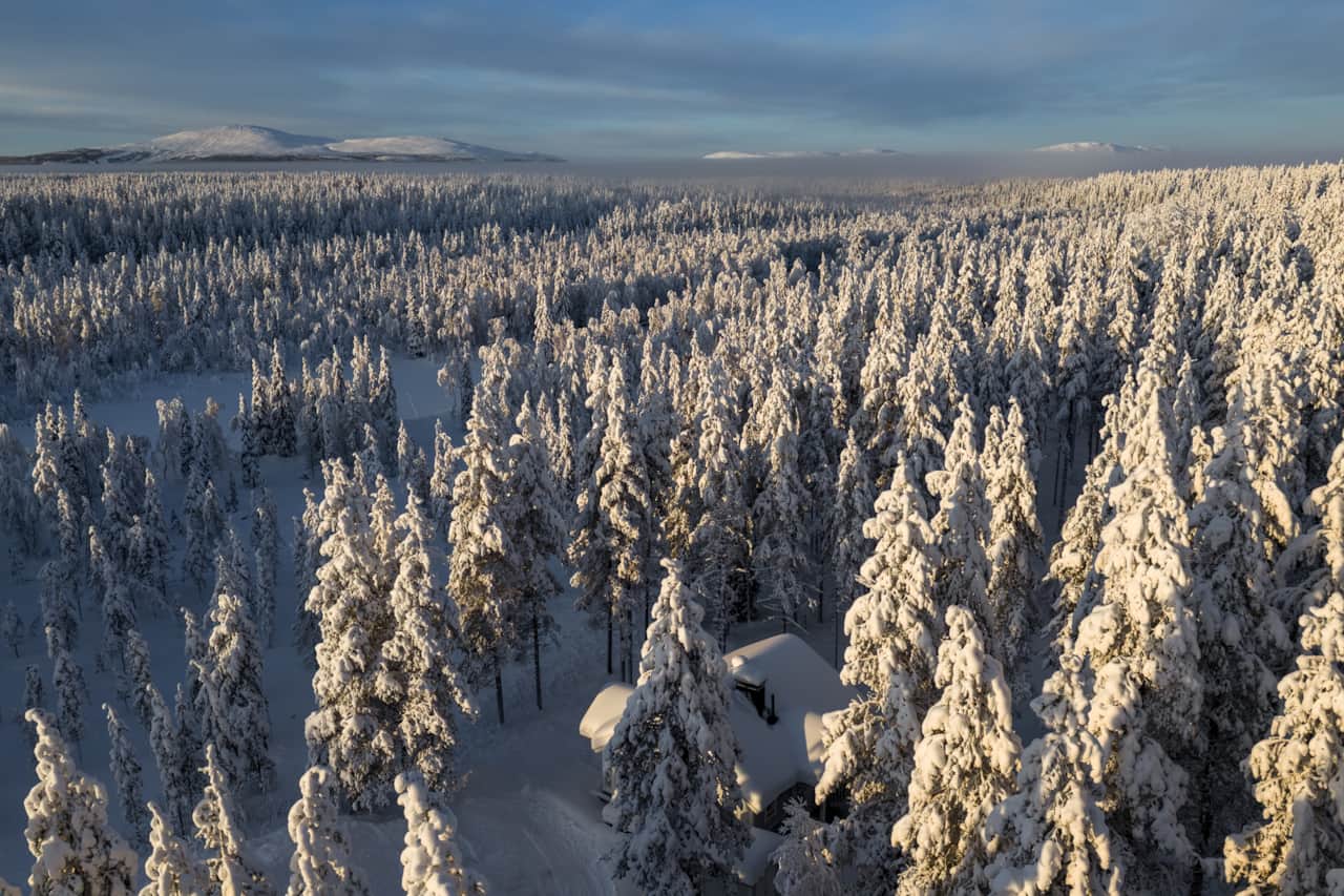Kärpänkätkye1A1 3