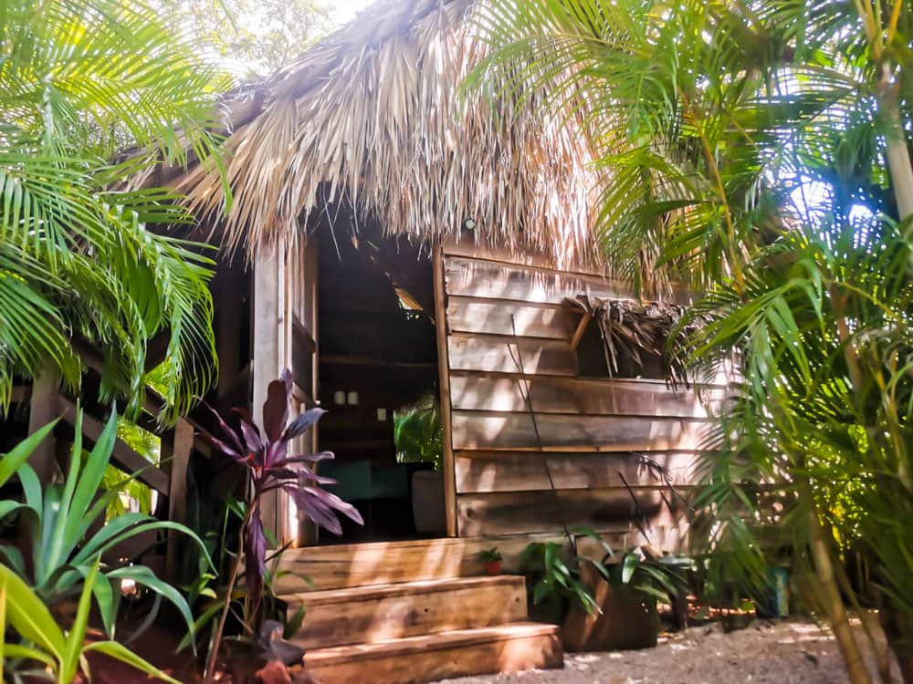 Glamping costa rica flor y bambu playa grande casita de madera ananda 4