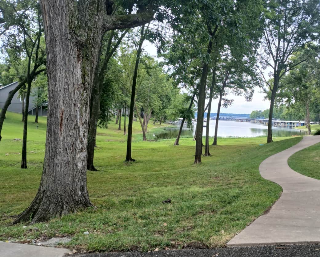 neighborhood walk path