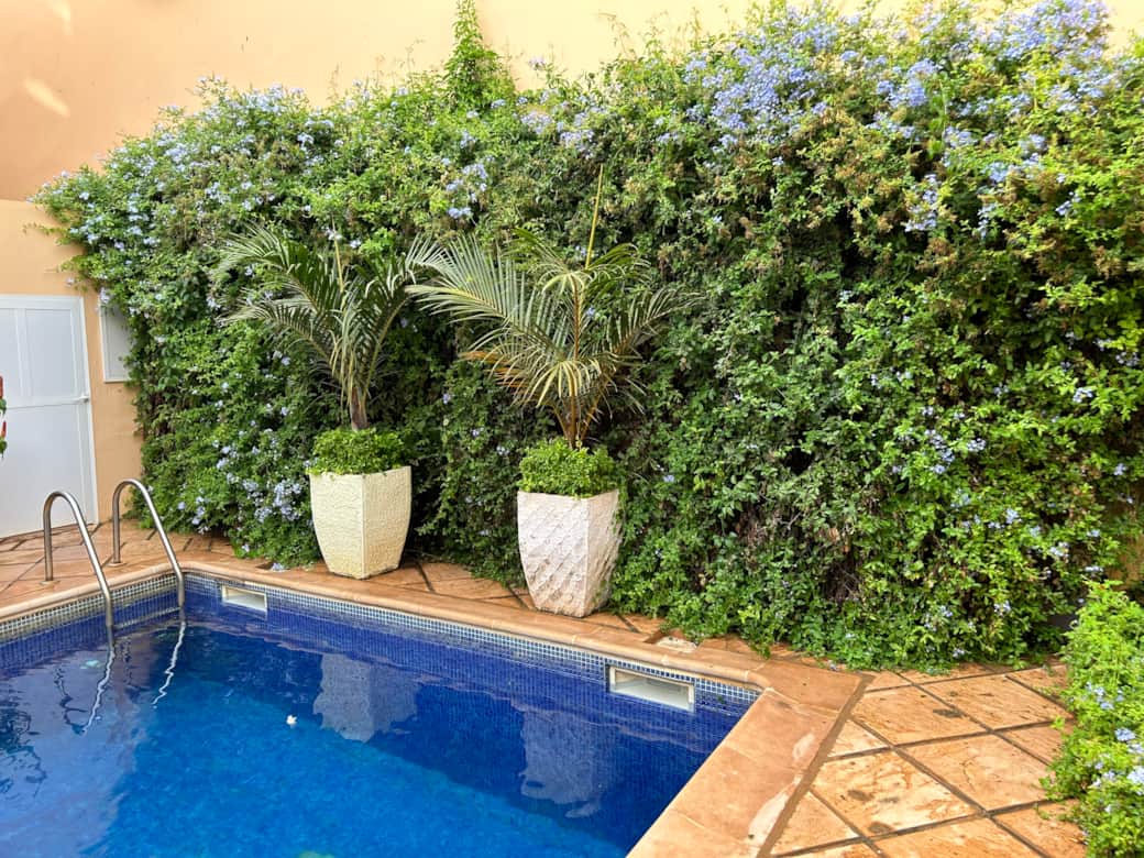 Pool / Garden