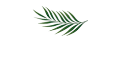 Orlando Theme Homes