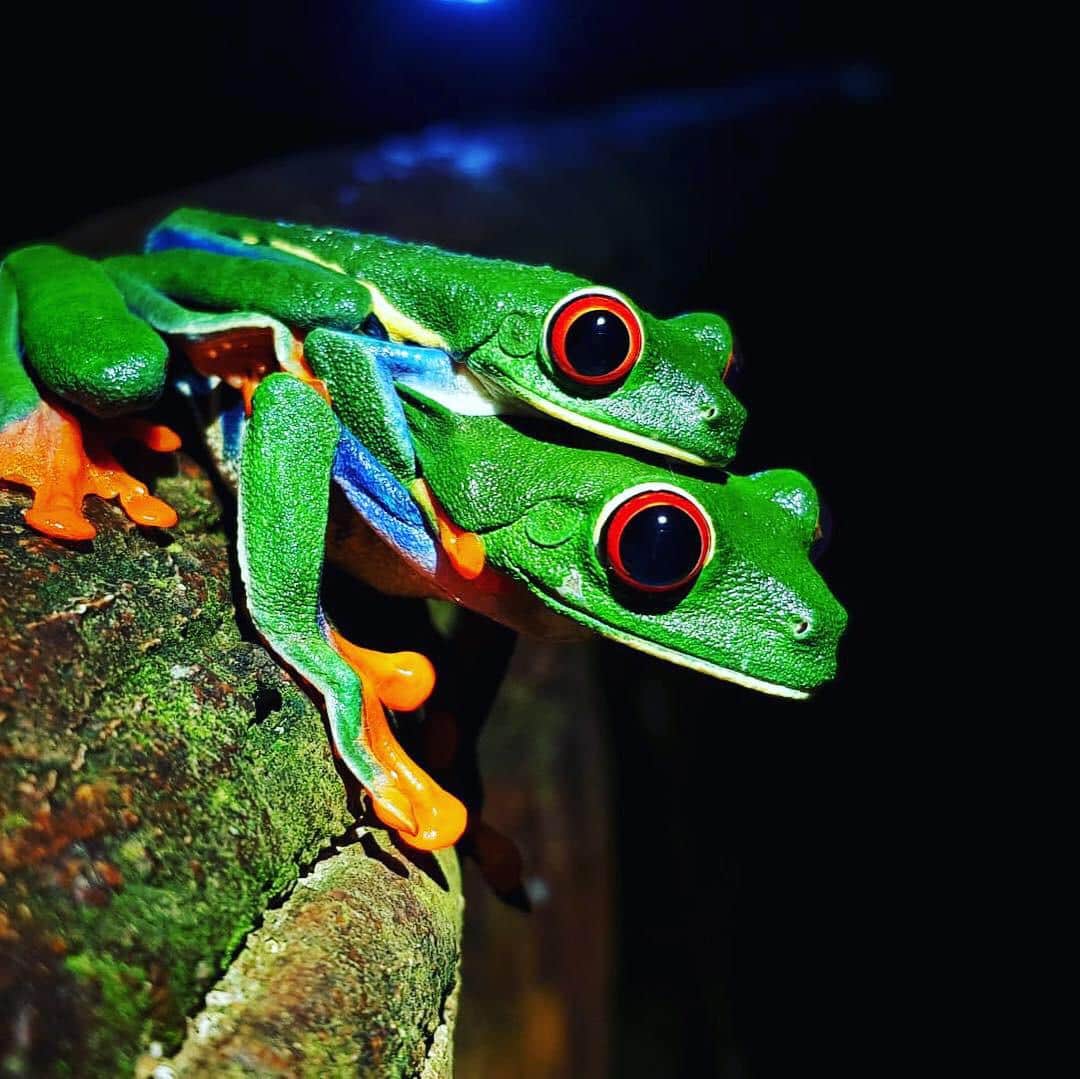 Manuel Antonio National Park