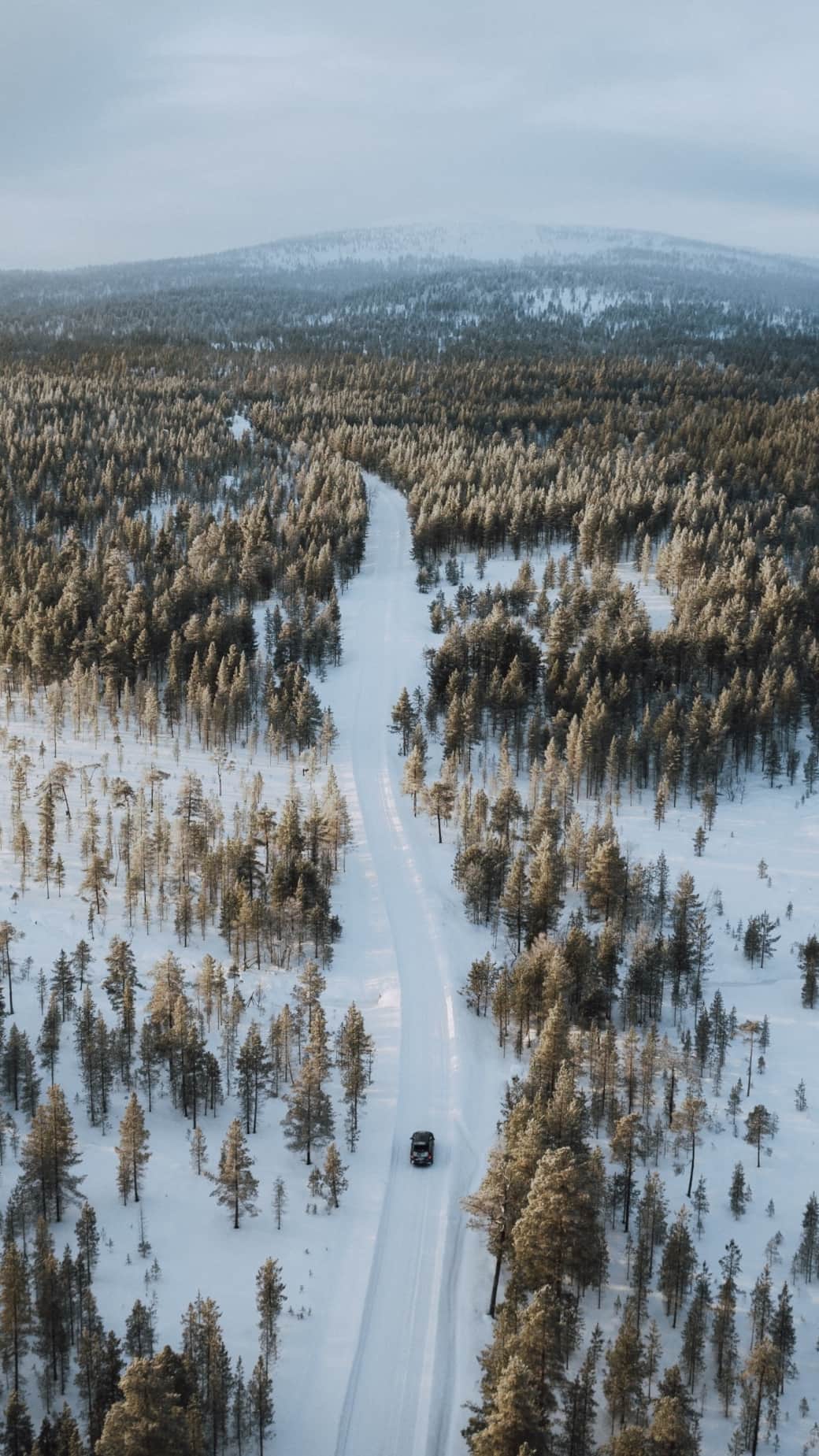 The road leading to the cabin.