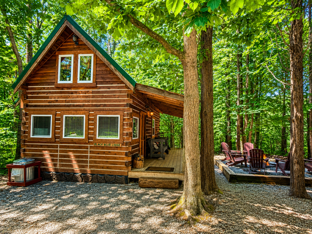 Black Bear Lodge