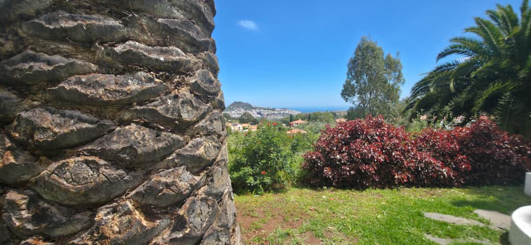 Vistas