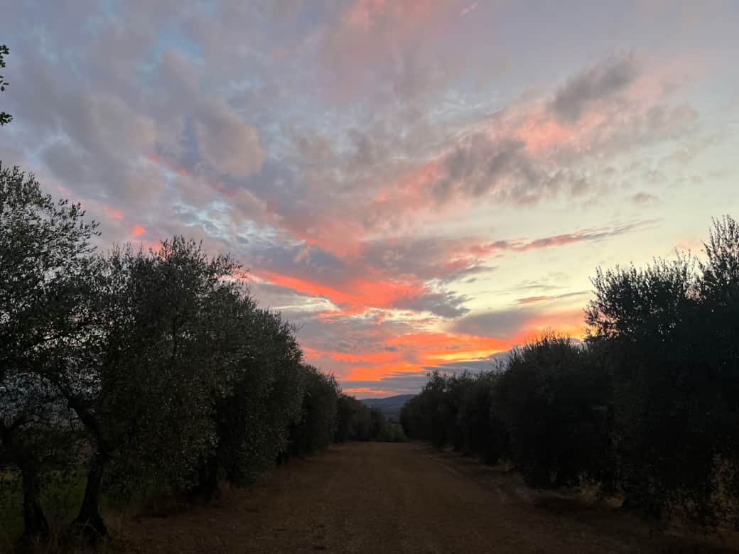 Sunset