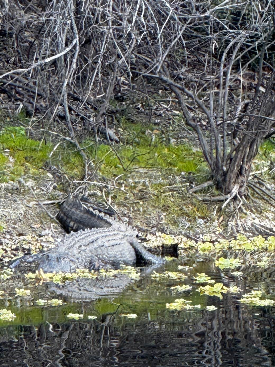 The guardian across the canal.