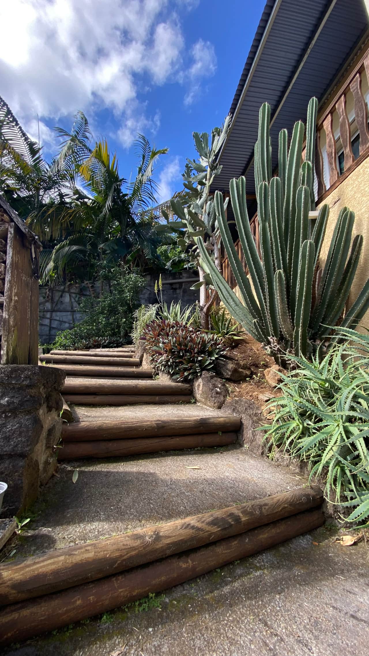 VUE ESCALIER JARDIN