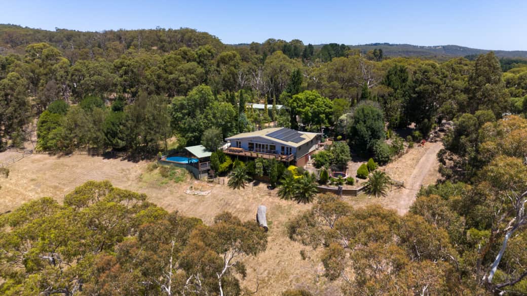 Ariel view in summer