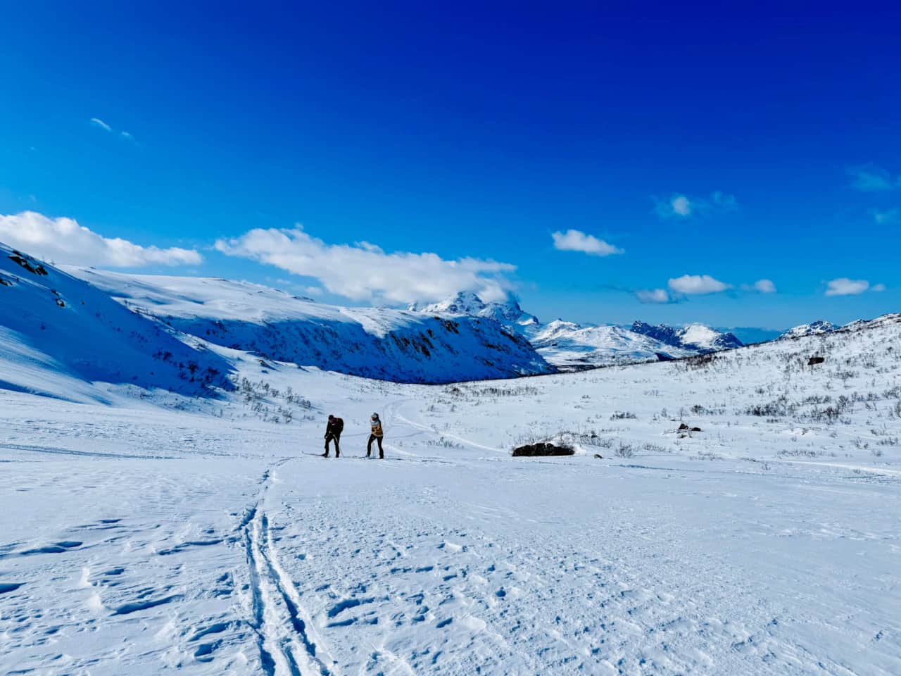 Skiing