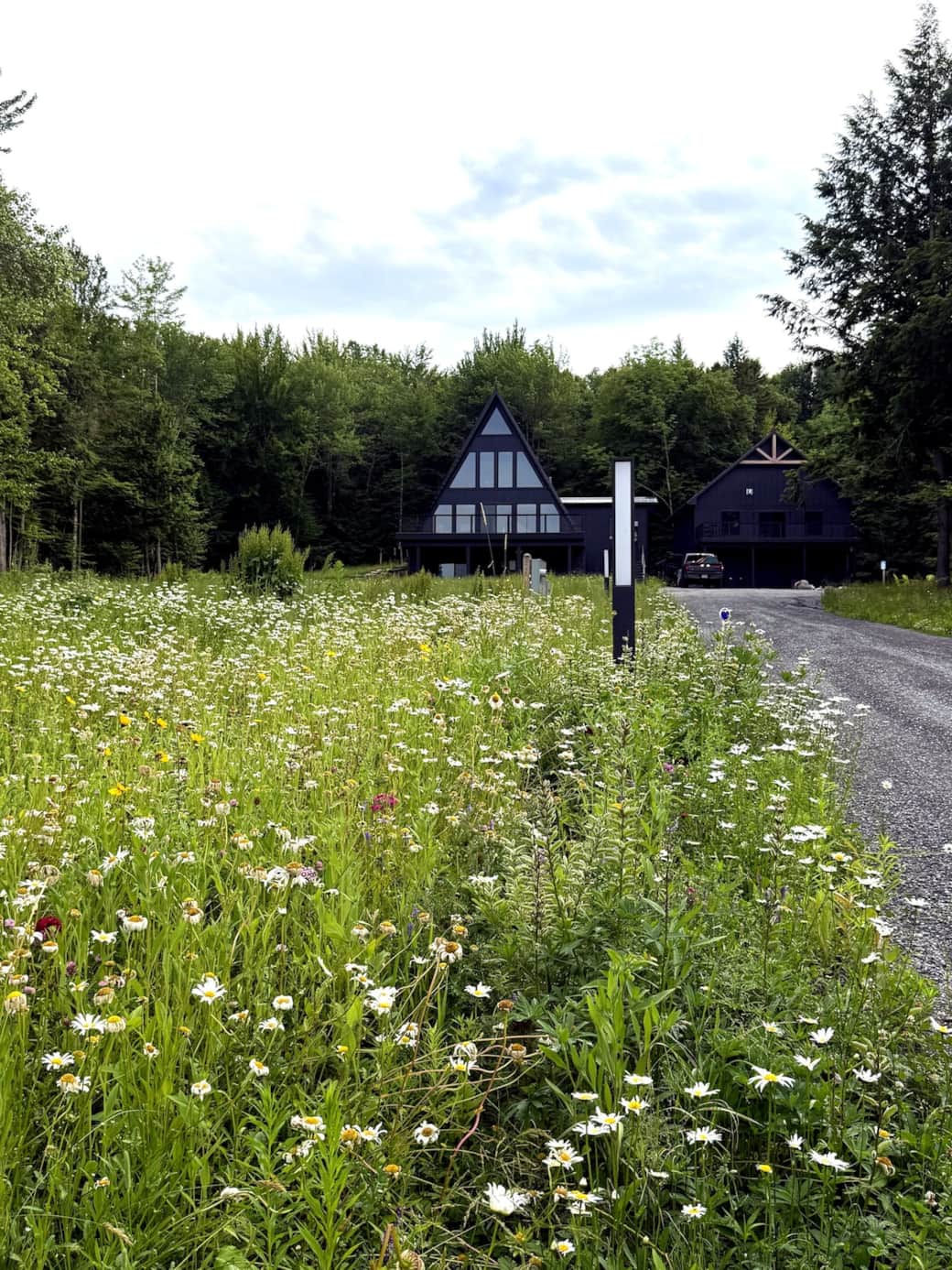 Make yourself a bouquet from our wildflower garden during the summer!