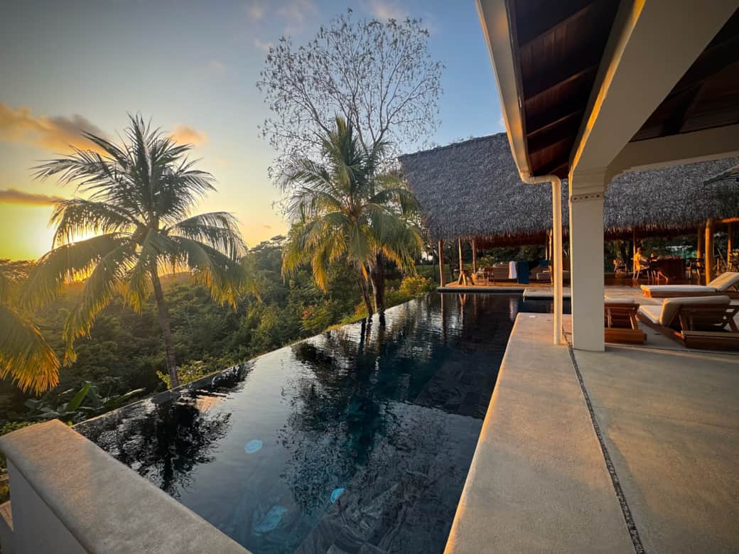 701B8F86 351D 4E38 AE16 D83837AEA73D 701B8F86 351D 4E38 AE16 D83837AEA73D