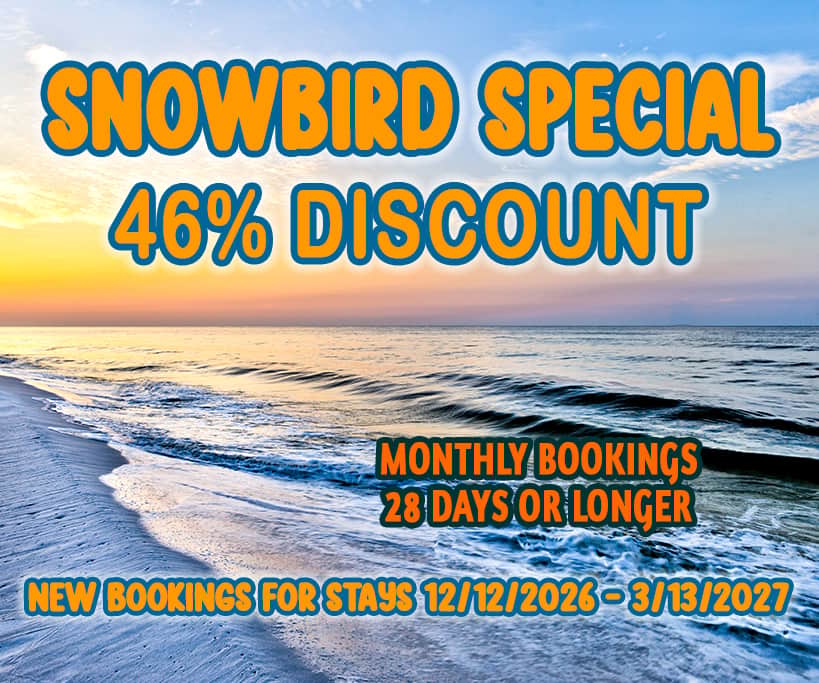 46% Snowbird Winter Special