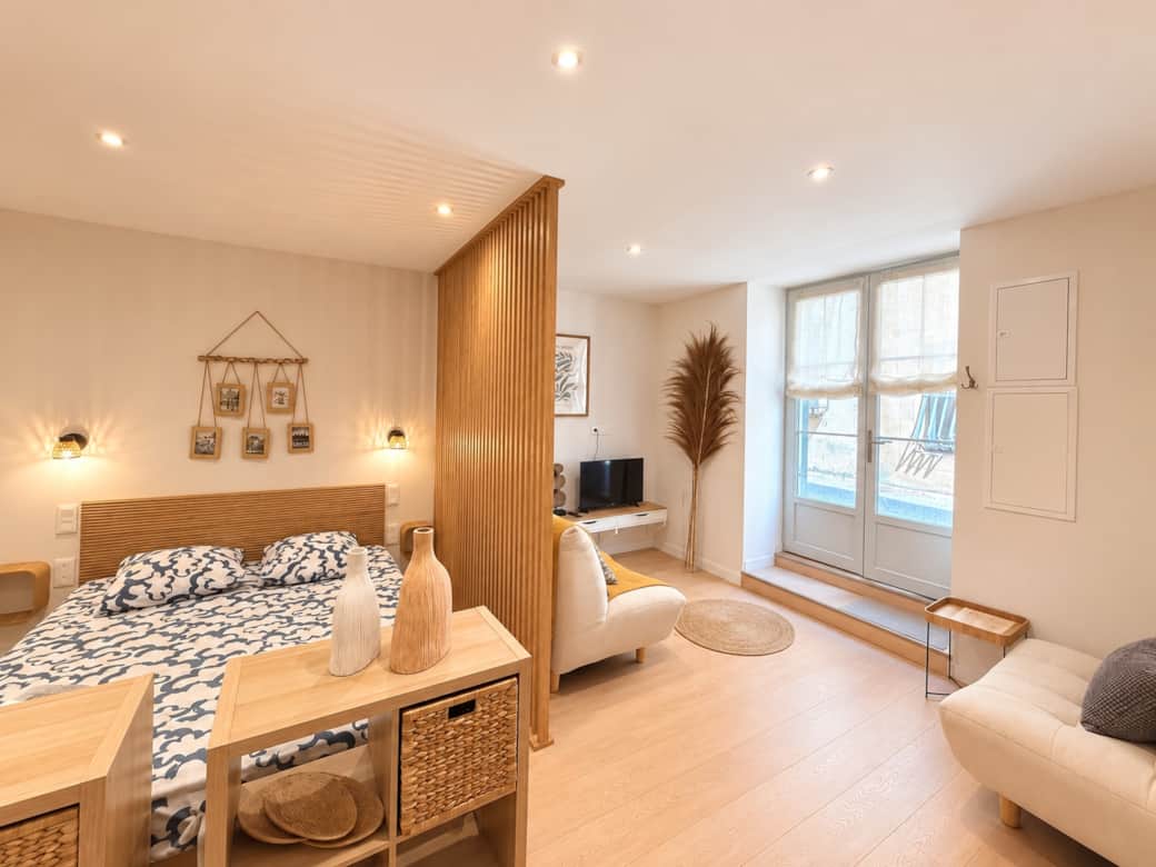 Living and sleeping area with sofa, television and double bed.
