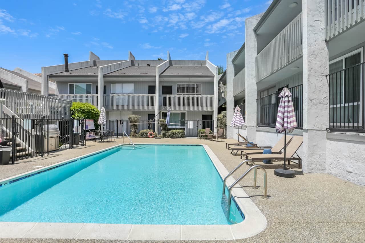 Pool, BBQ's & Loungers