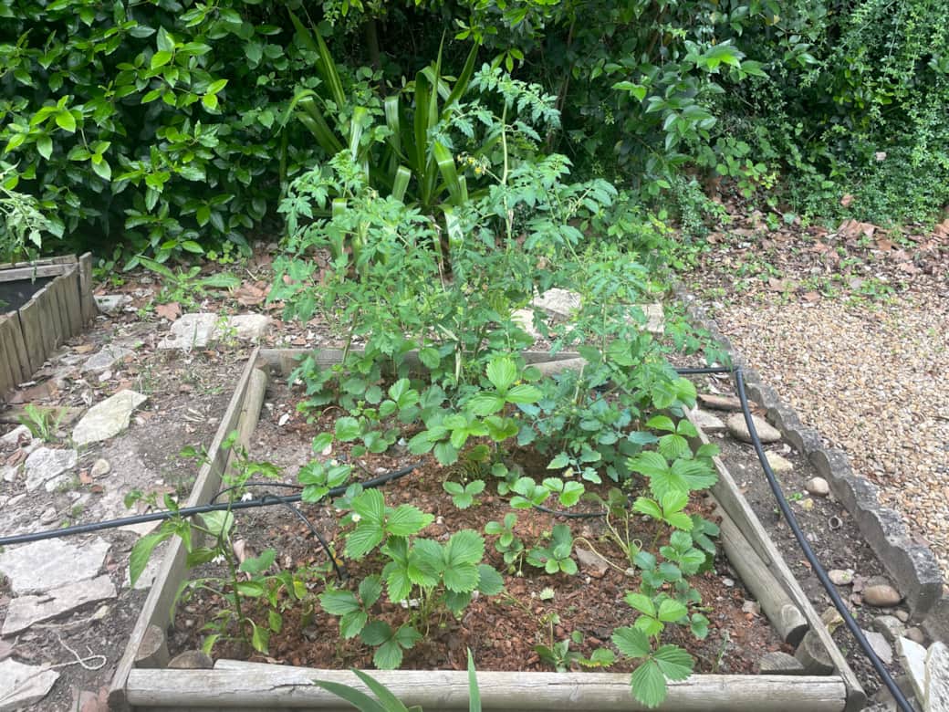 Potager