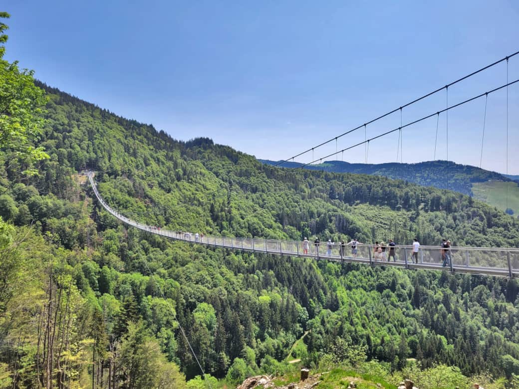 Hängebrücke Todtnauberg