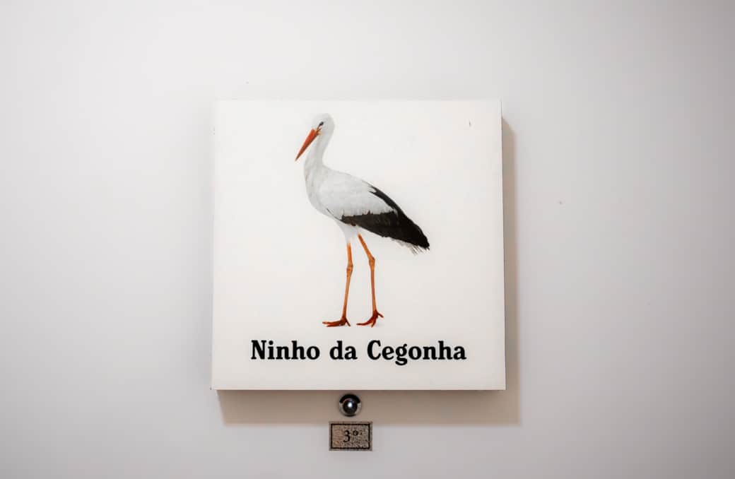 Ninho da Cegonha