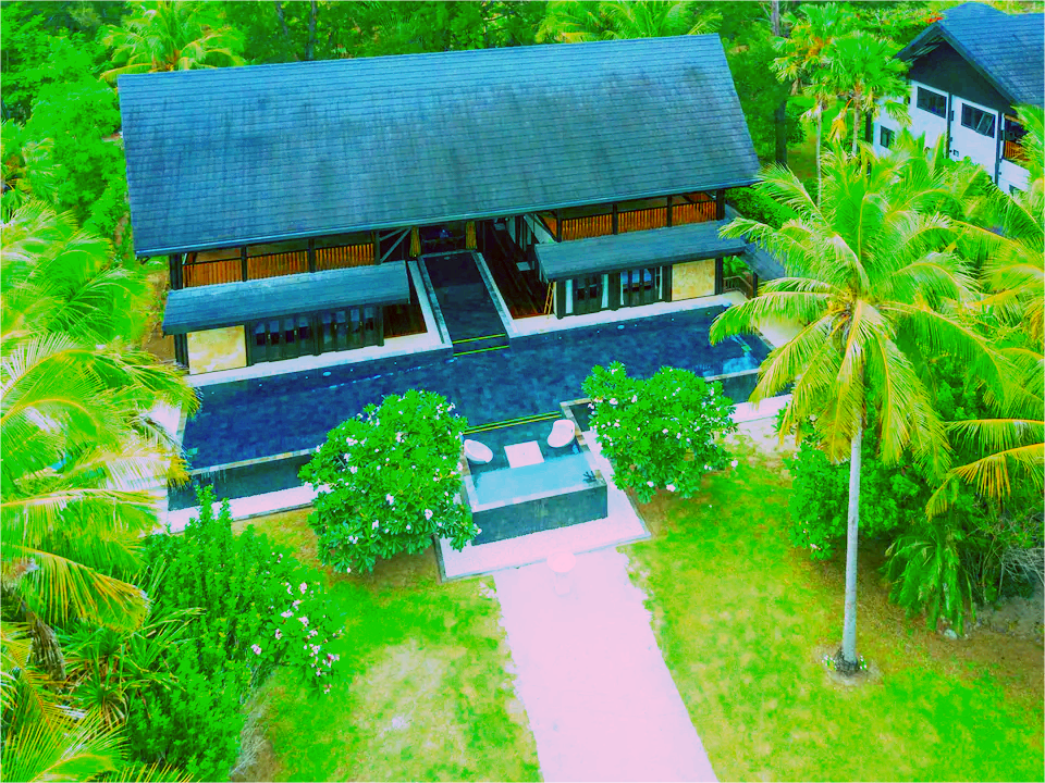 Bird Eye View