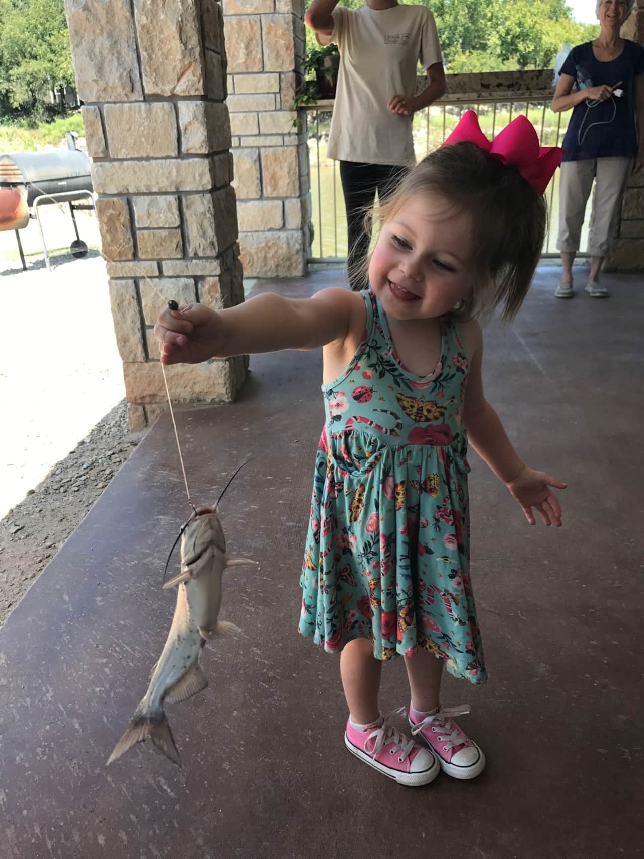 Lake Godstone Catfish