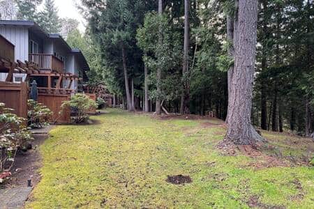 Back yard area