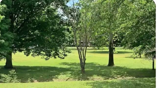 You'll love being across from Harding University and close to restaurants, downtown, Unity Health and all Searcy has to offer. We're only half an hour from Heber Springs and 45 minutes from Little Rock. You'll love being across from Harding University and close to restaurants, downtown, Unity Health and all Searcy has to offer. We're only half an hour from Heber Springs and 45 minutes from Little Rock.