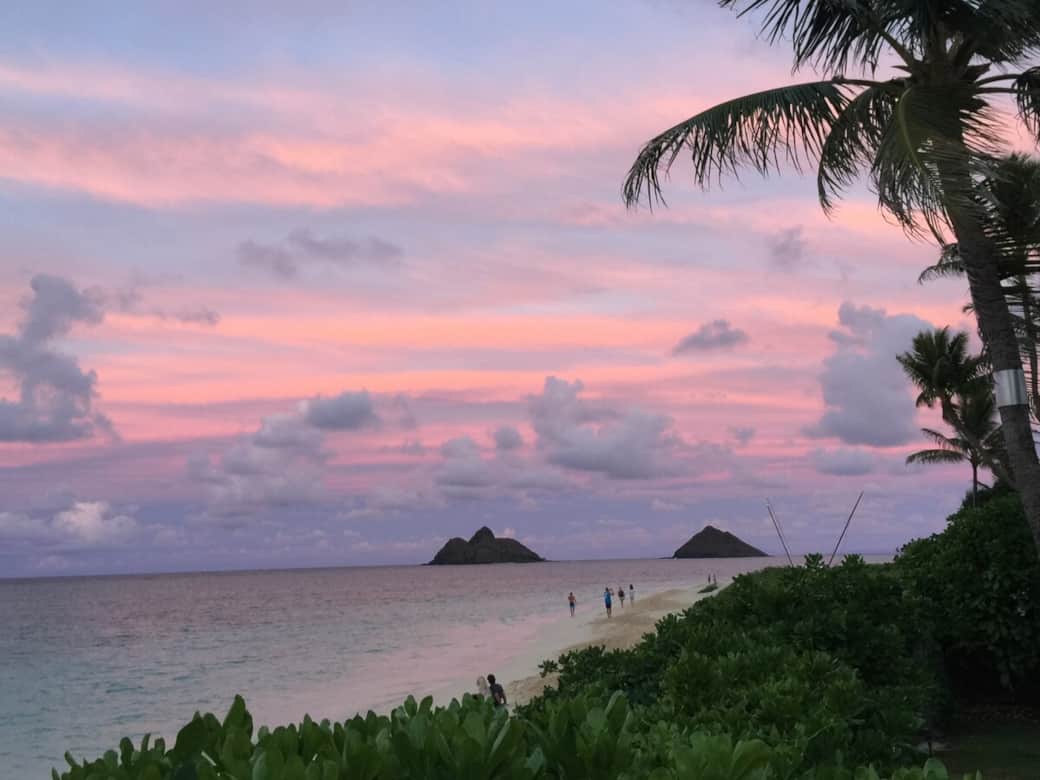 Sunsets are pretty too - pink and purple skies aplenty