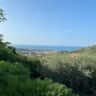 Immagine dell'alloggio