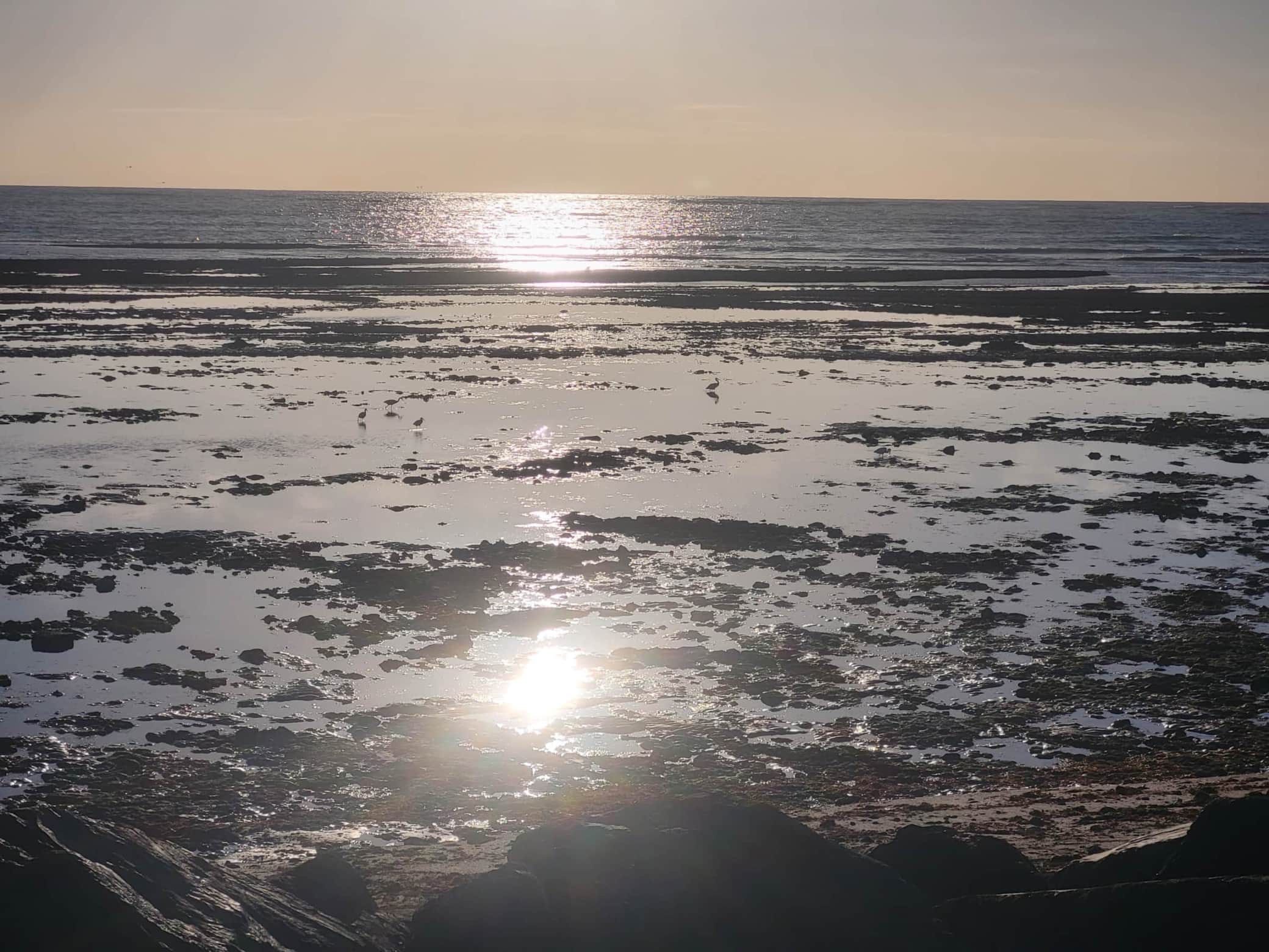 La Côte Sauvage