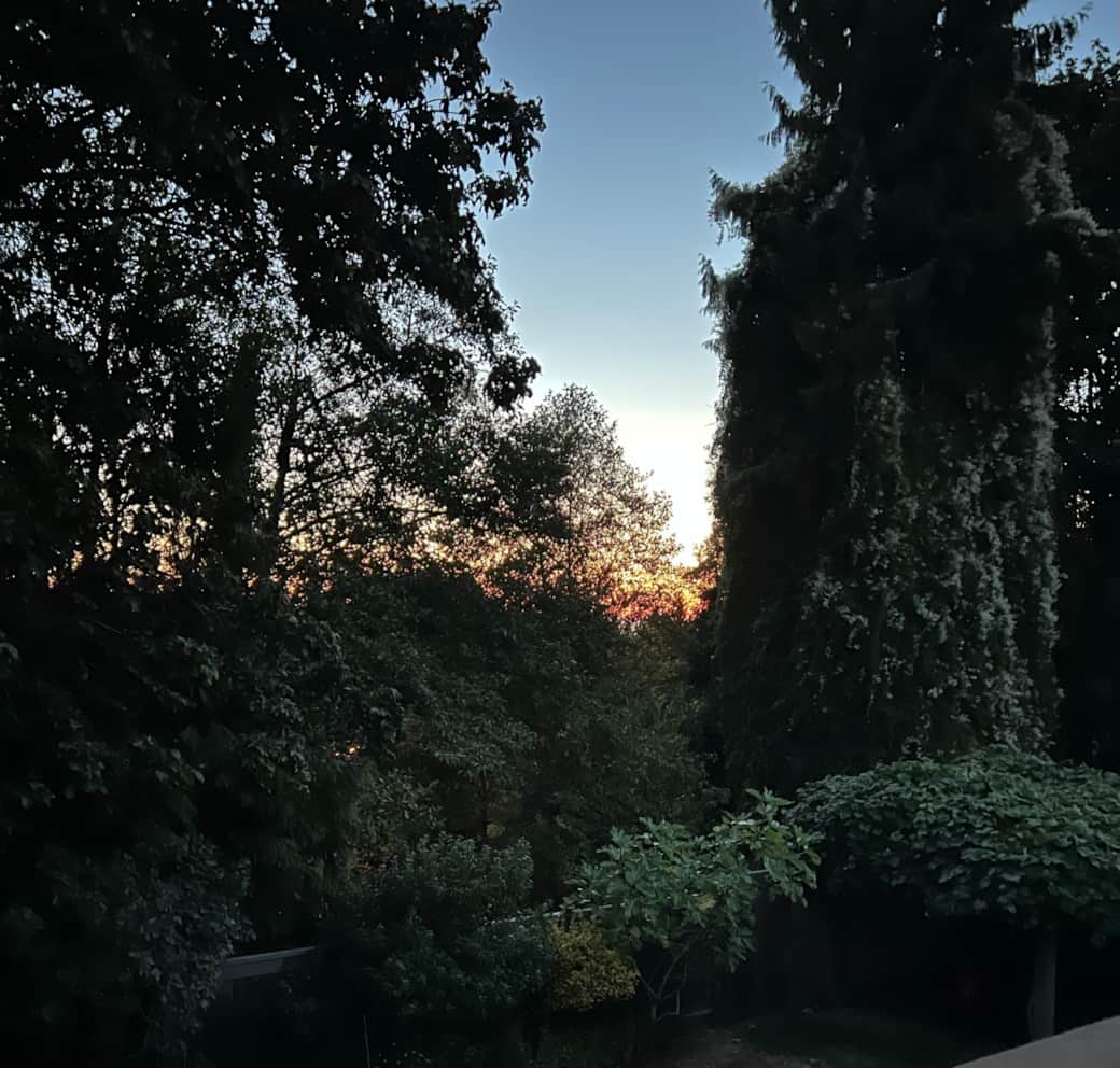 Backyard neyland sept 21 2023 530AM Backyard neyland sept 21 2023 530AM