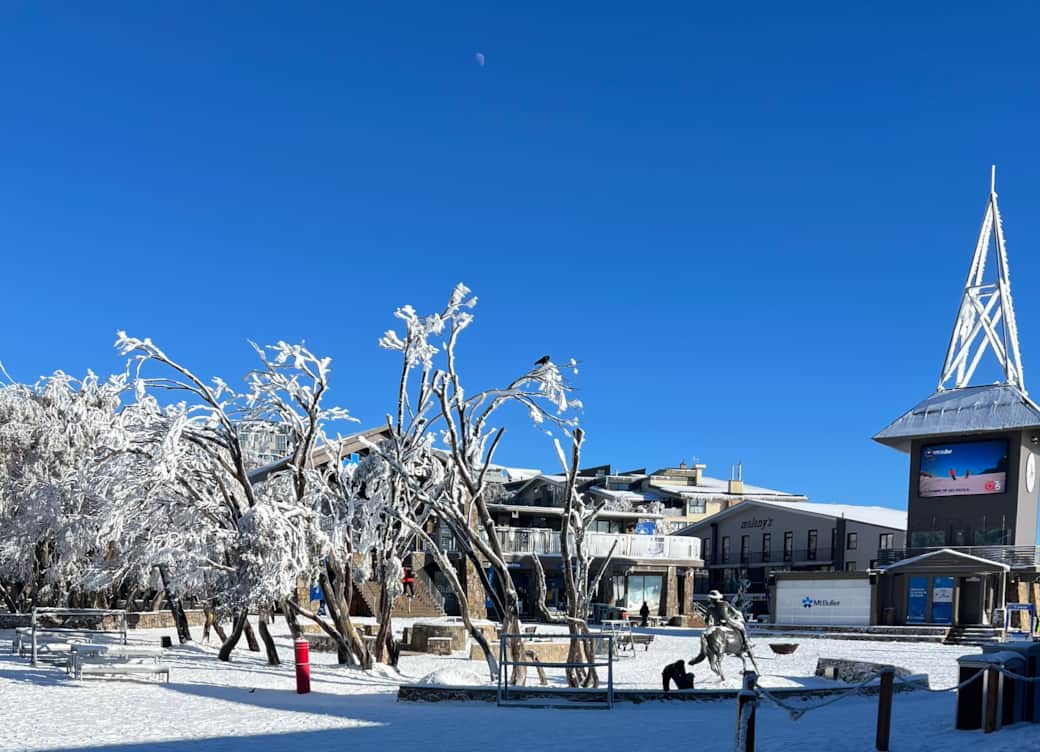 Buller Village in winter