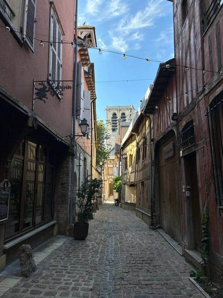 Appartement situé au pied de l'emblématique ruelle des chats pour découvrir les rues pavées de Troyes.