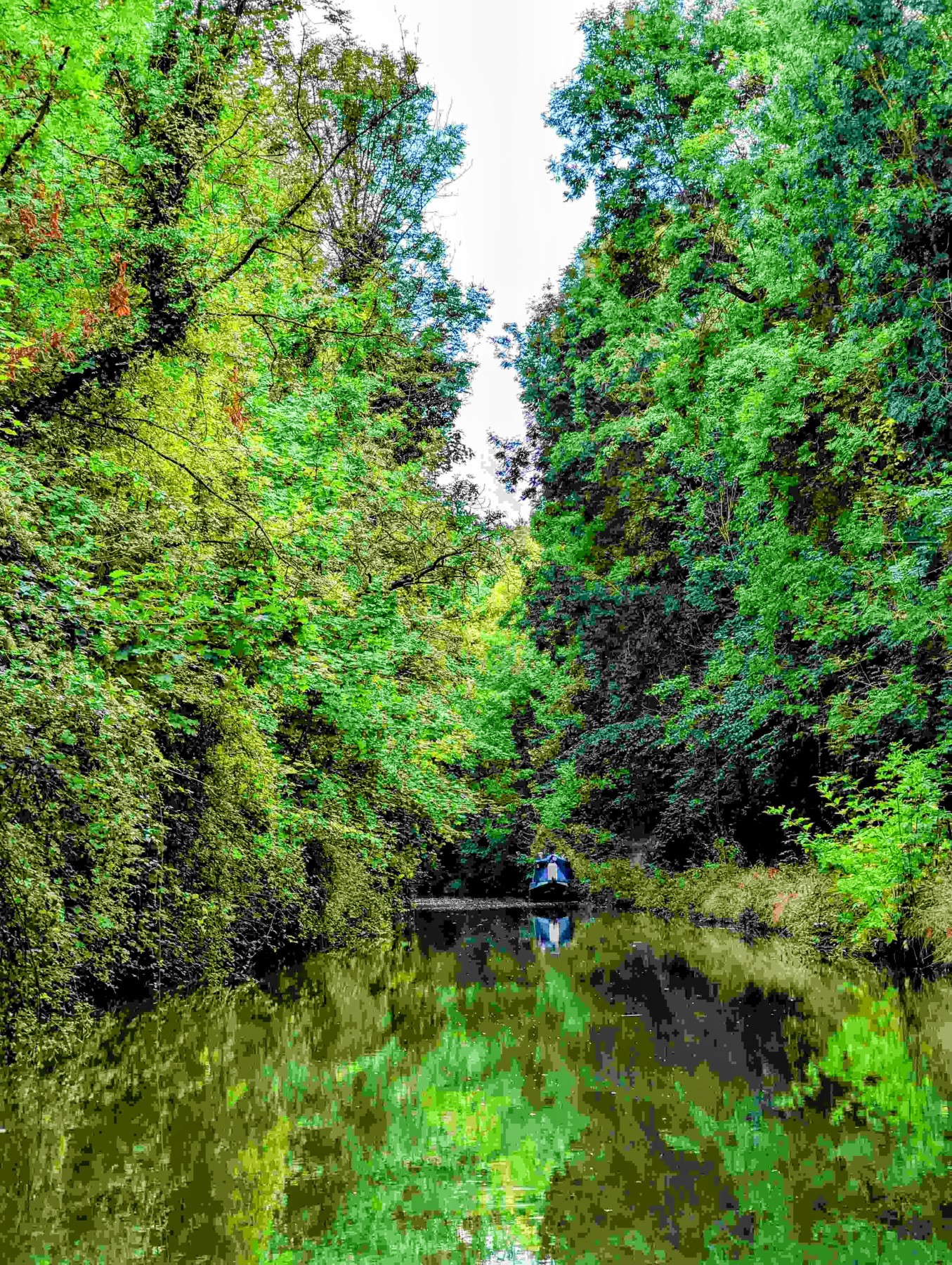 Luxury Canal boat approaching between tall green trees on the Grand Union canal