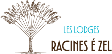 Racines é Zel