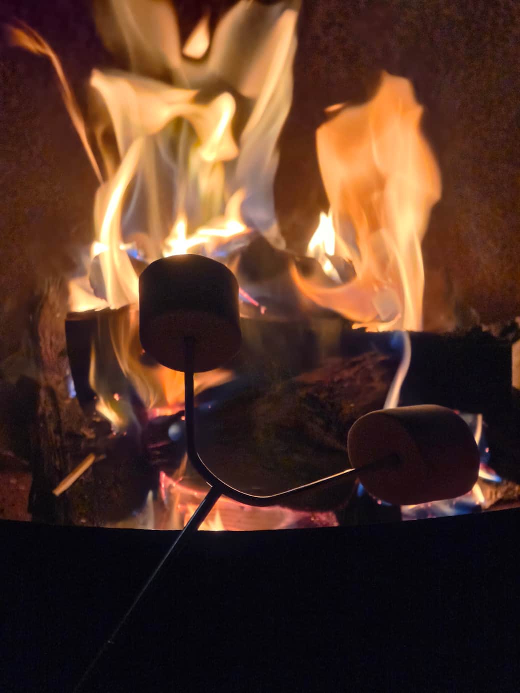 Marshmallow forks,  BBQ skewers, extendable fire poker 