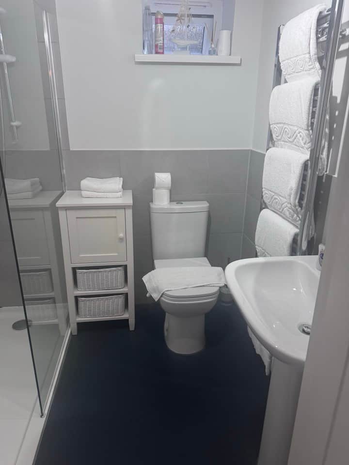 Electric shower, WC and sink