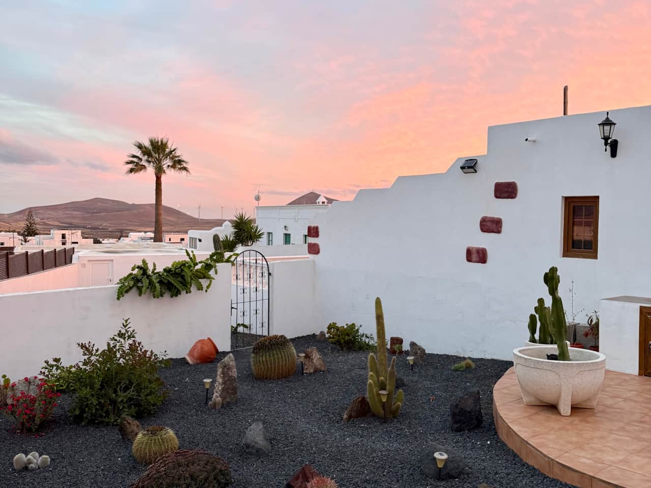 Jardin de cactus au coucher du soleil
