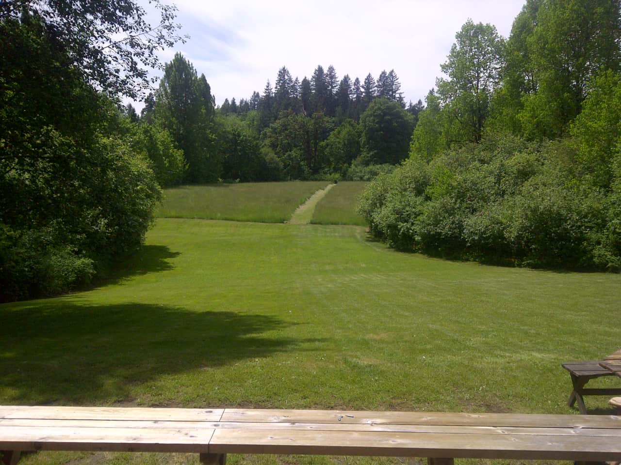 Back Field