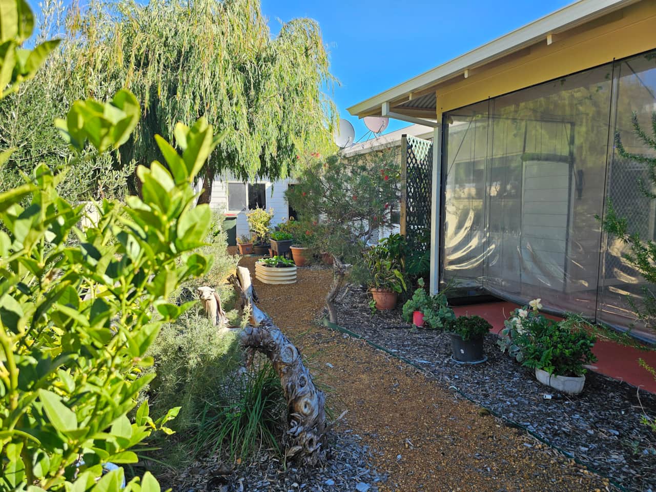 Side garden