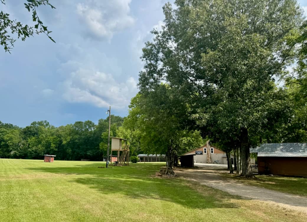 Driveway View