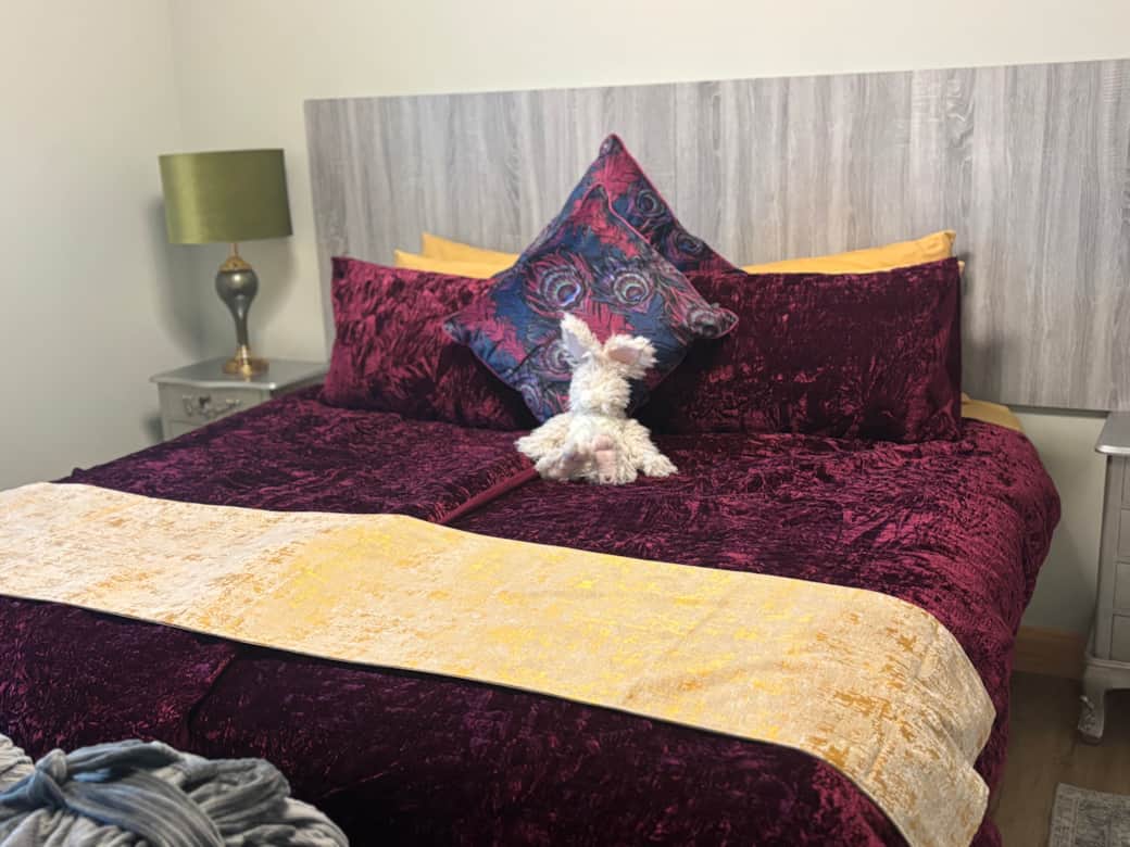 Image picker 4CB9FDD7 5832 4A3C B9D4 84C17D7F770C 27855 00000CF5175F1654 Image picker 4CB9FDD7 5832 4A3C B9D4 84C17D7F770C 27855 00000CF5175F1654