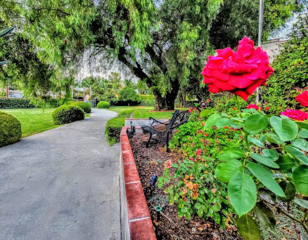 Exterior Pathway Overview
